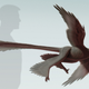 Illustration for article titled The Largest Dinosaur Capable Of Flight Had Four Wings